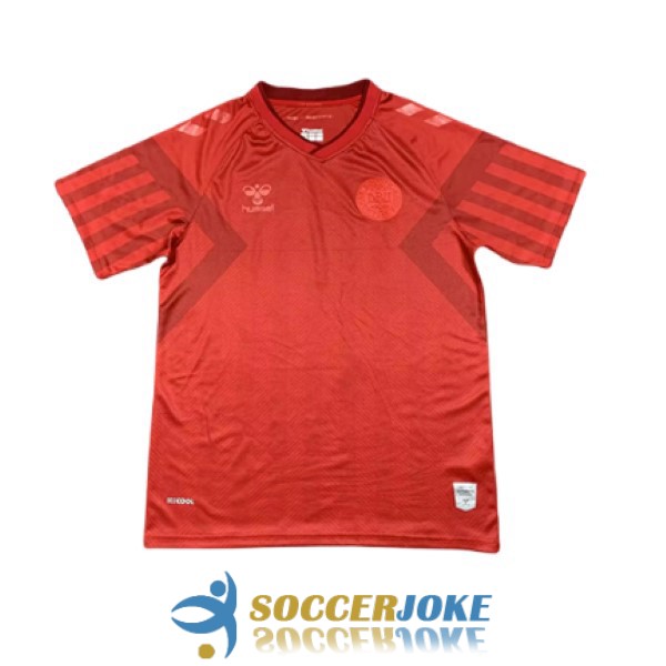 shirt home denmark 2022-2023