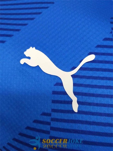 shirt manchester city blue goalkeeper player version 2022-2023<br /><span class=