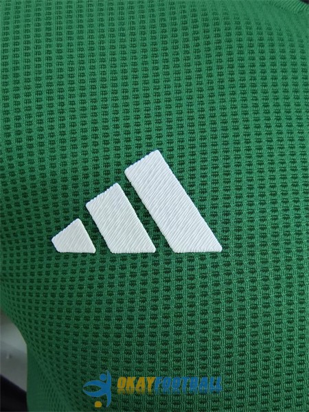 shirt algeria green (5) special edition player version 2023-2024<br /><span class=