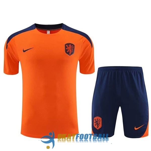 shirt netherlands orange blue training kit 2023-2024 [EX23-11-24-78]