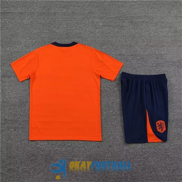 shirt netherlands orange blue training kit 2023-2024