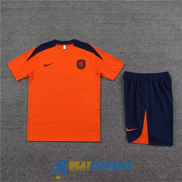 shirt netherlands orange blue training kit 2023-2024