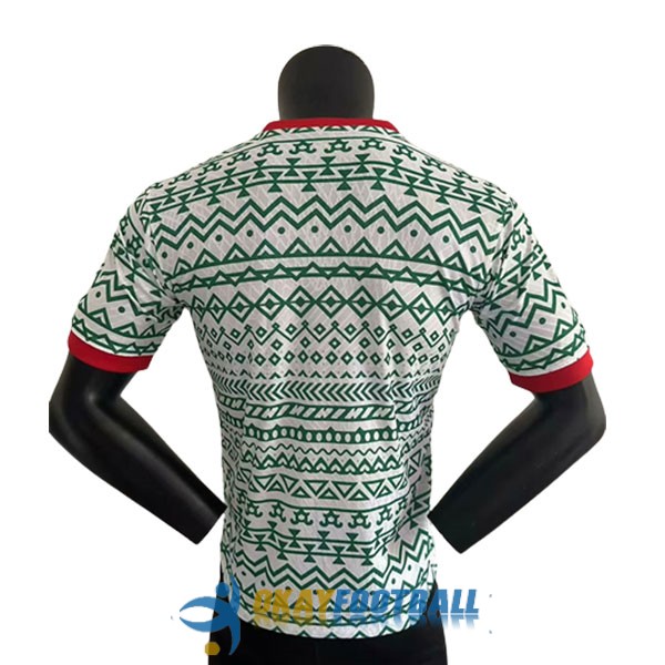 shirt nigeria green white special edition player version 2023-2024