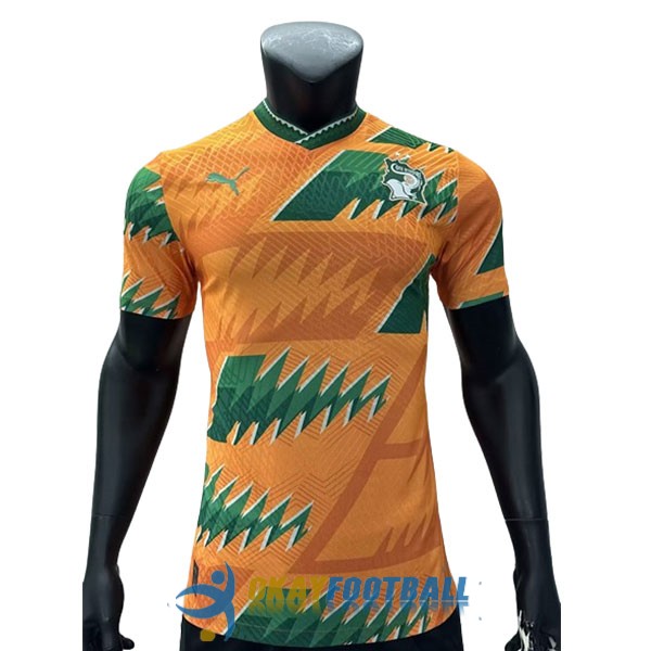 shirt cote de ivoire orange green special edition player version 2023-2024