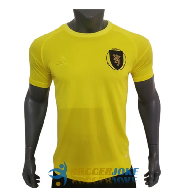 shirt scotland yellow goalkeeper player version 2023-2024