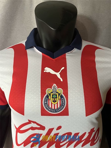 shirt home player version chivas de guadalajara 2023-2024<br /><span class=