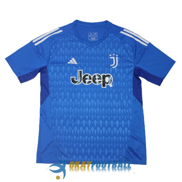 shirt juventus blue goalkeeper 2023-2024